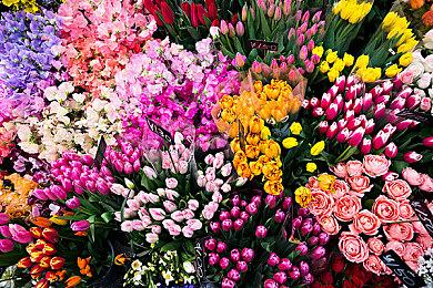 《米卡与魔女之山》公布 登陆全平台推出